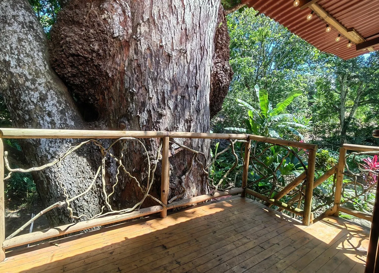 Treehouse Tayrona Villa Santa Marta