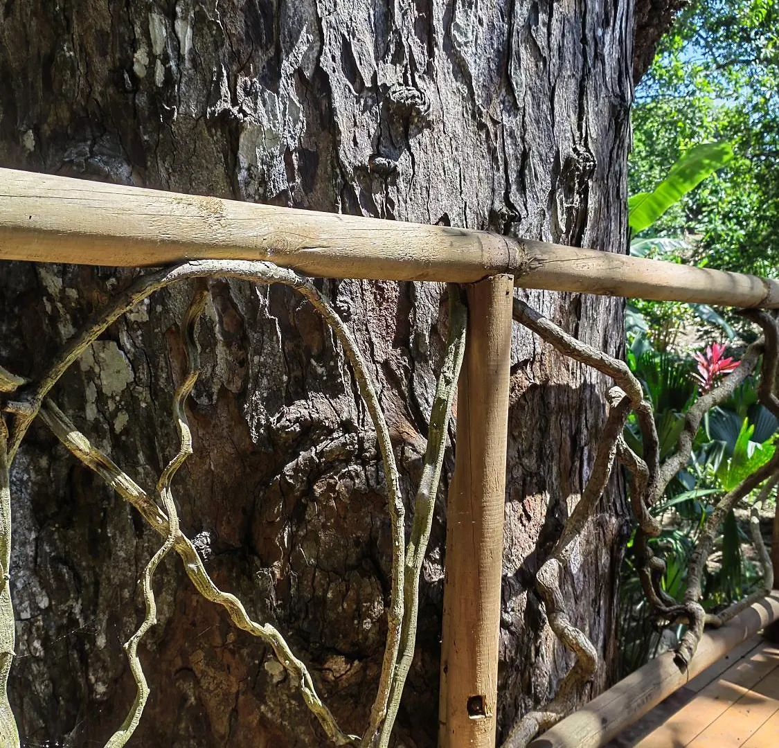 Treehouse Tayrona Villa Santa Marta