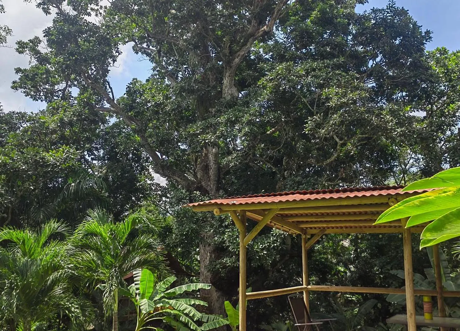 Lodge Treehouse Tayrona Villa Santa Marta