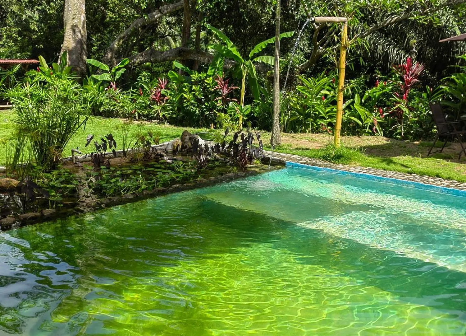 Treehouse Tayrona Villa Santa Marta  Lodge