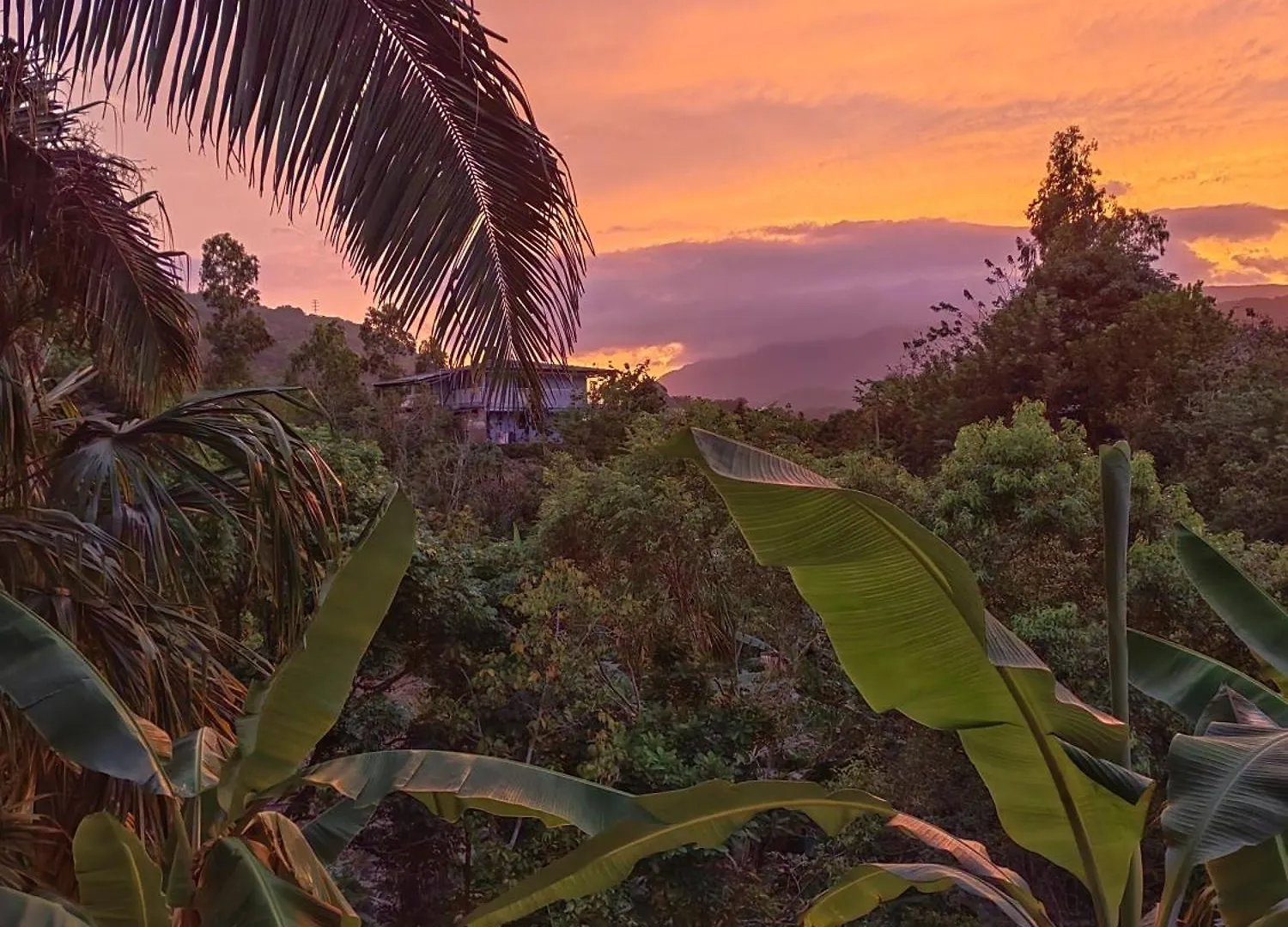 Lodge Treehouse Tayrona Villa Santa Marta