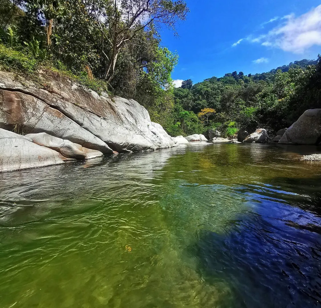 Treehouse Tayrona Villa Santa Marta