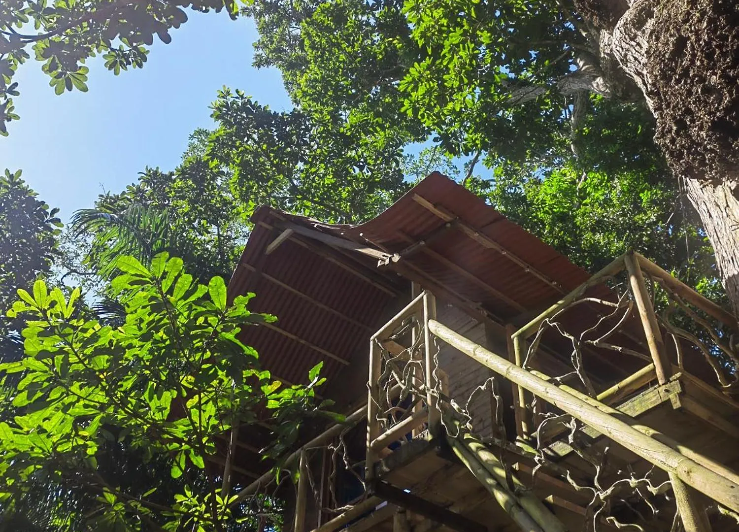 Treehouse Tayrona Villa Santa Marta