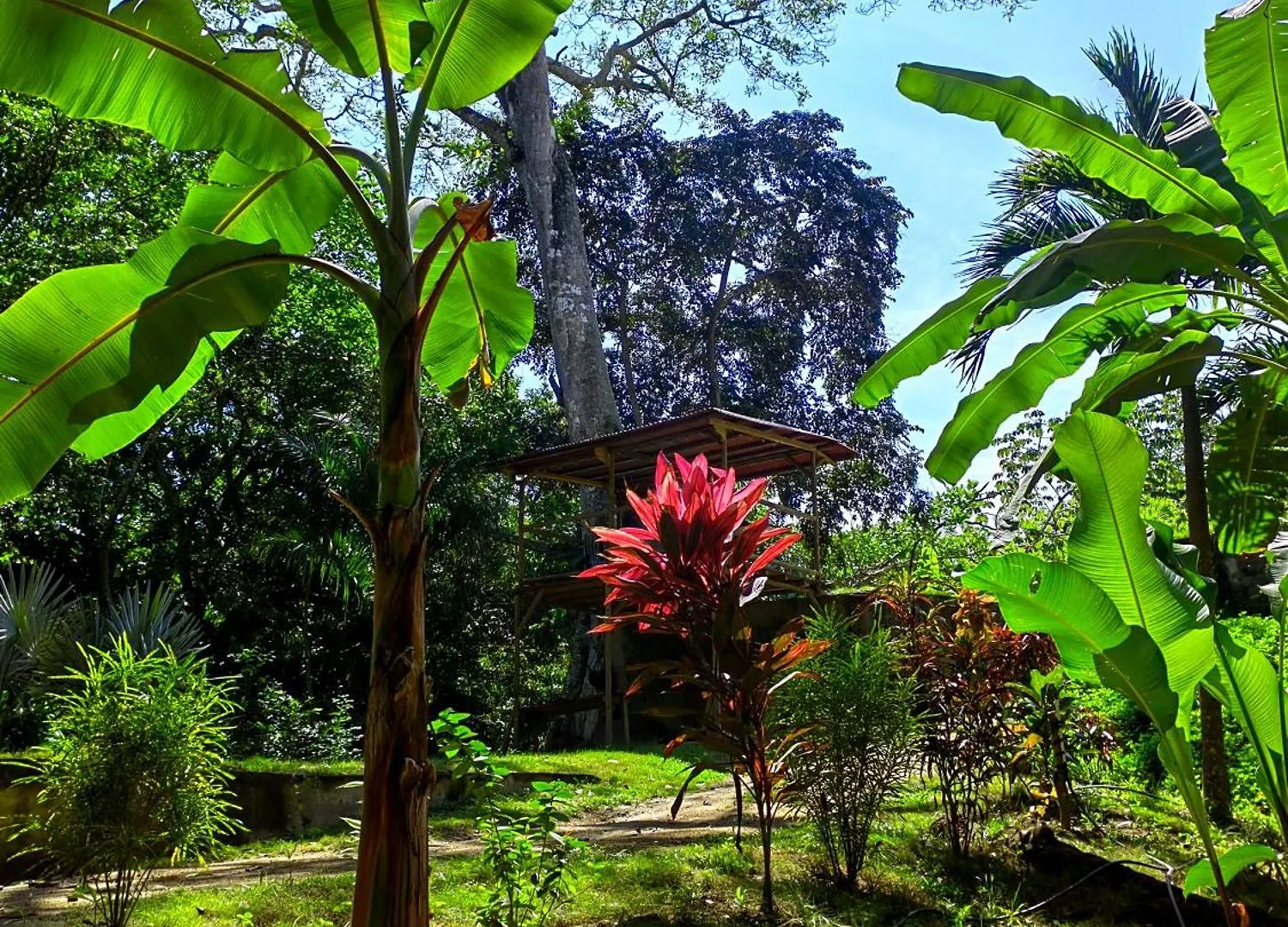 Treehouse Tayrona Villa Santa Marta  0*, Santa Marta (Magdalena) Colombia