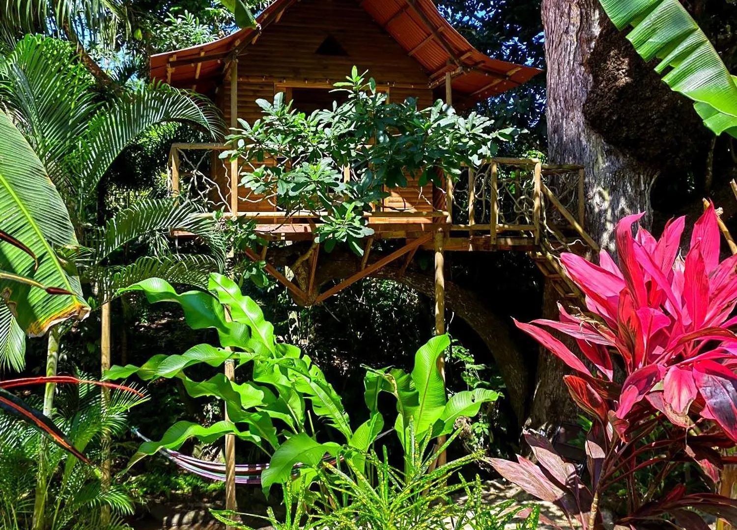 Lodge Treehouse Tayrona Villa Santa Marta