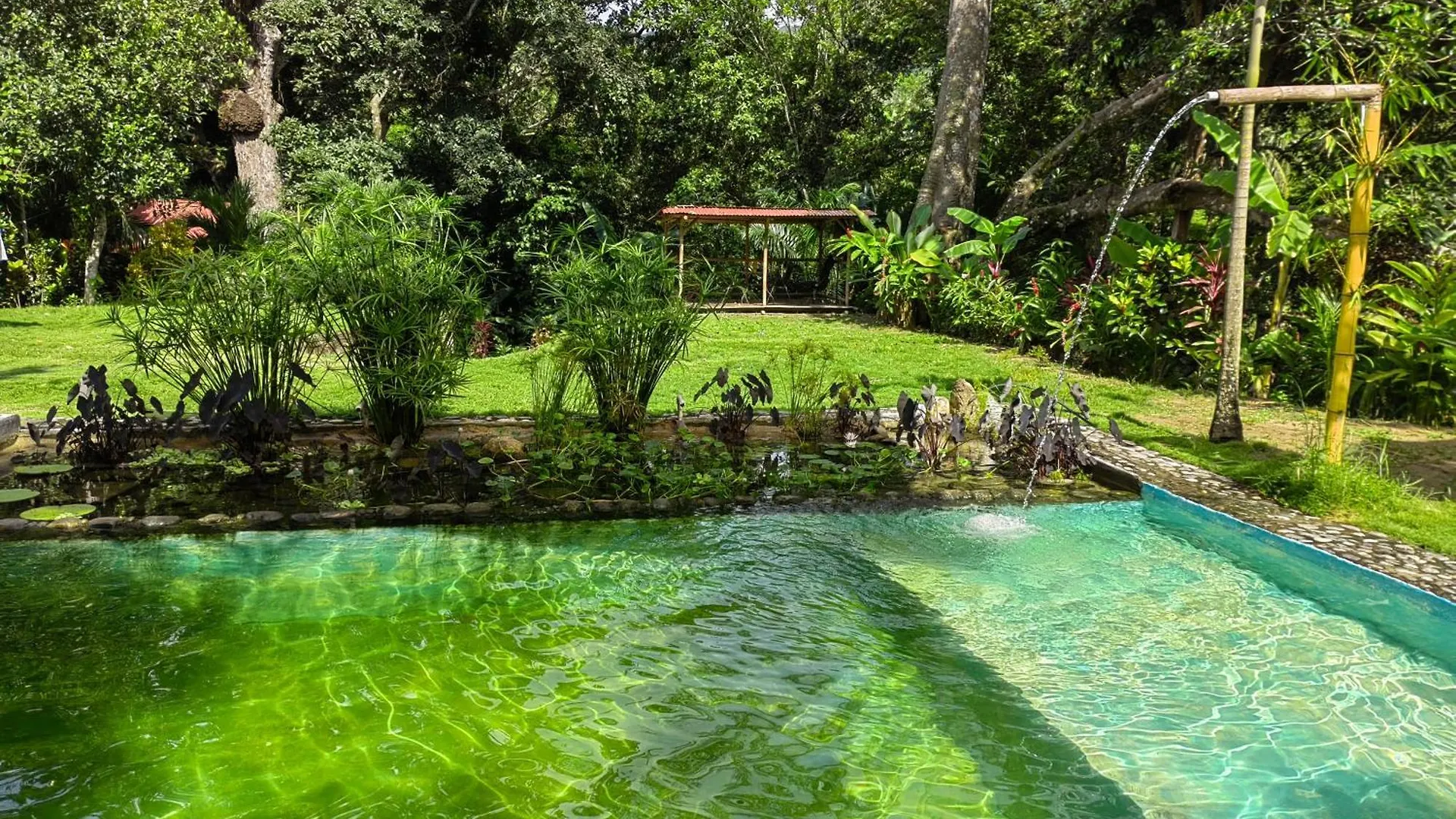 Lodge Treehouse Tayrona Villa Santa Marta