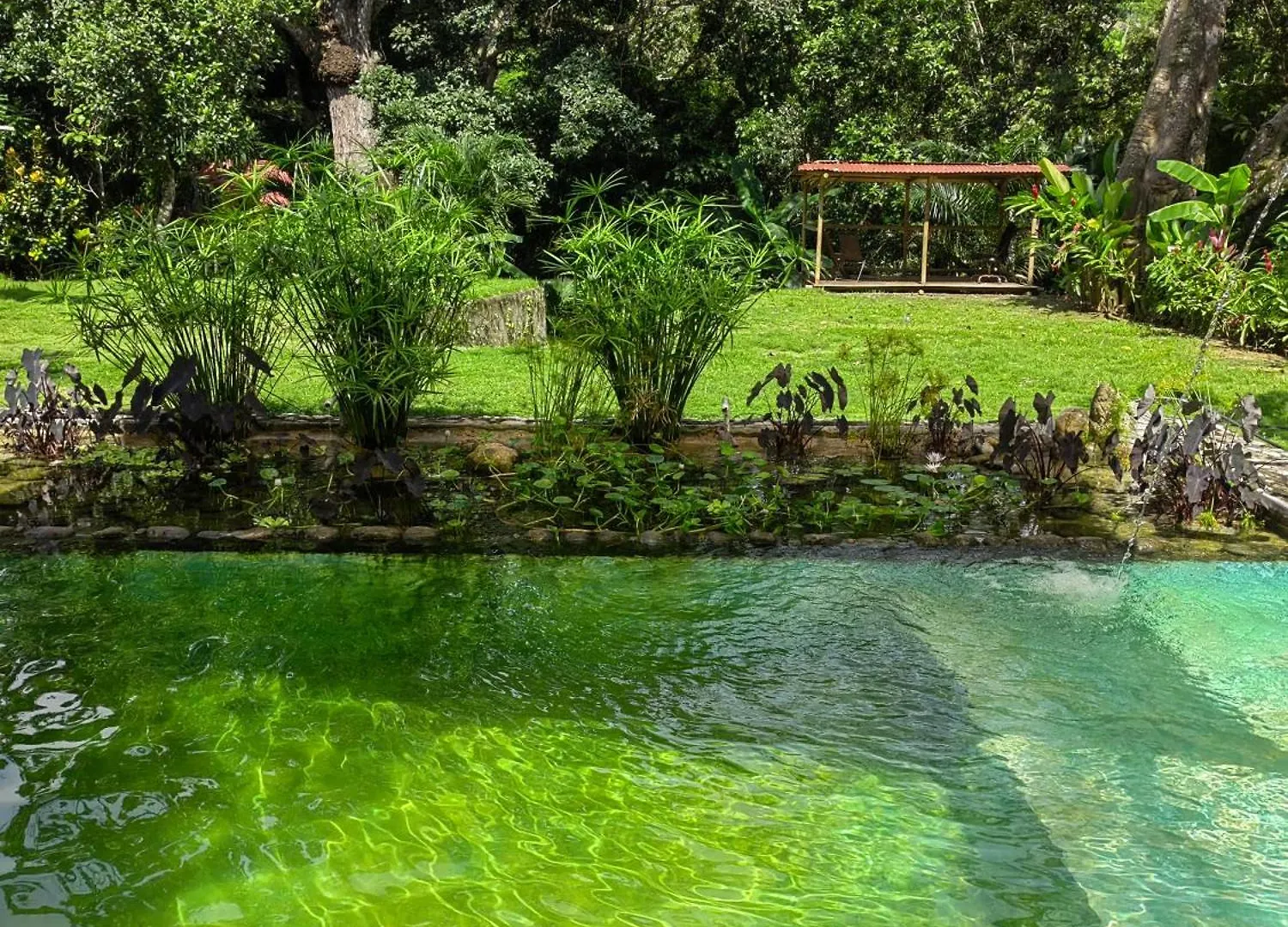 Treehouse Tayrona Villa Santa Marta