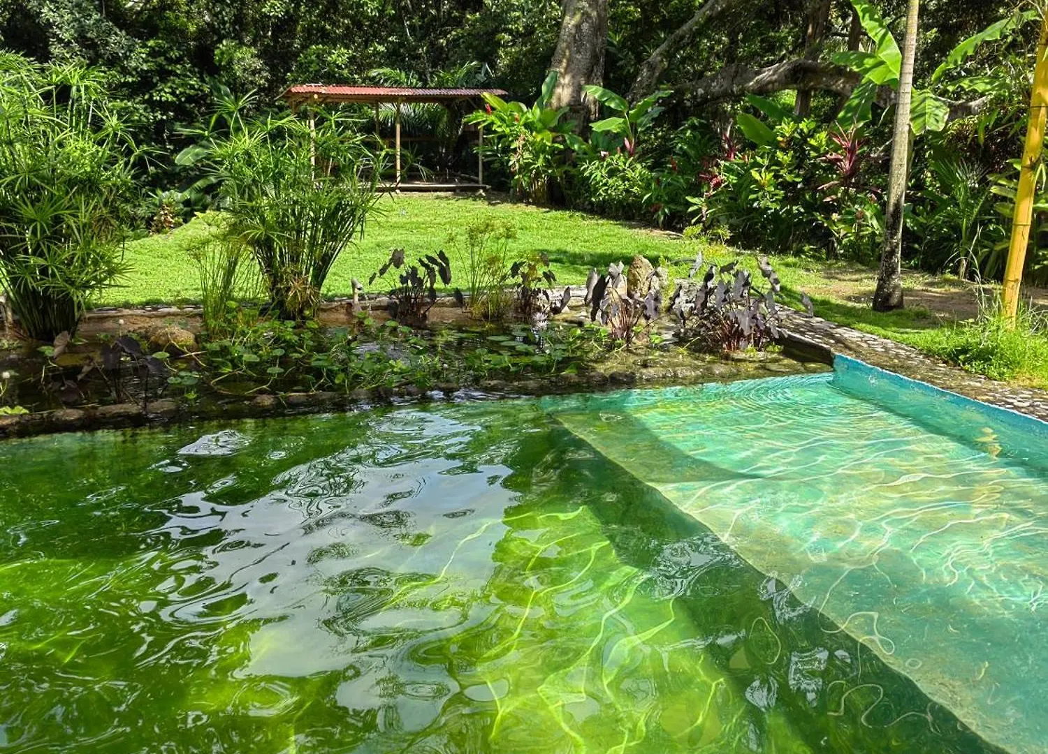Lodge Treehouse Tayrona Villa Santa Marta
