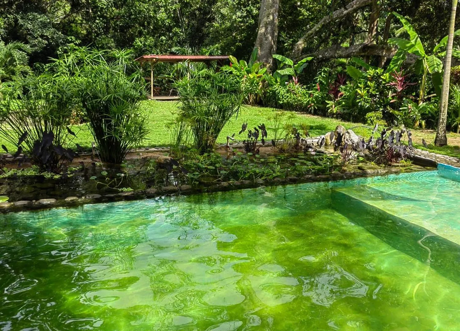 Treehouse Tayrona Villa Santa Marta  Colombia