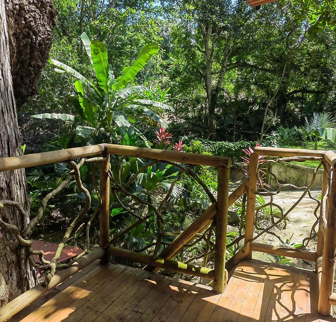 圣玛尔塔Treehouse Tayrona别墅 山林小屋 圣玛尔塔