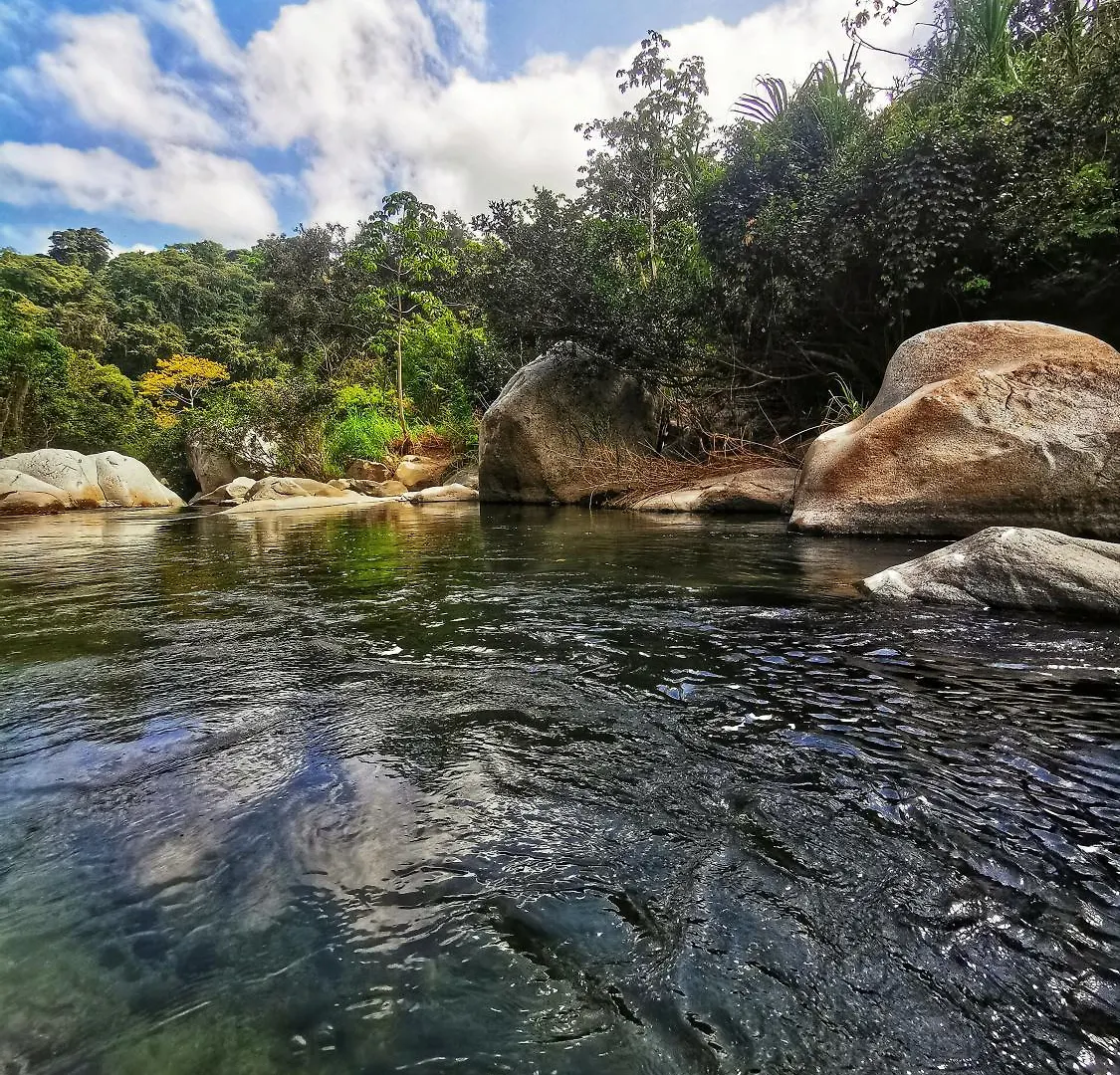 Treehouse Tayrona Villa Santa Marta