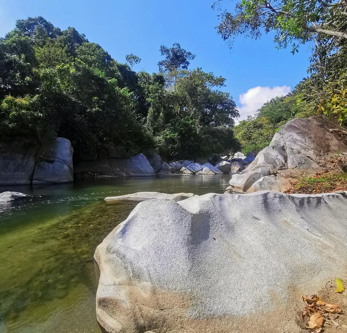 Lodge Treehouse Tayrona Villa Santa Marta