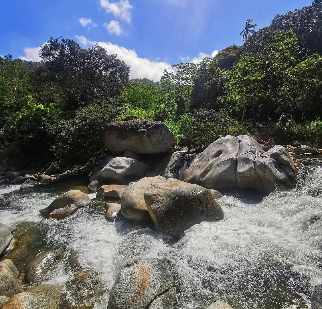 Lodge Treehouse Tayrona Villa Santa Marta  Colombia