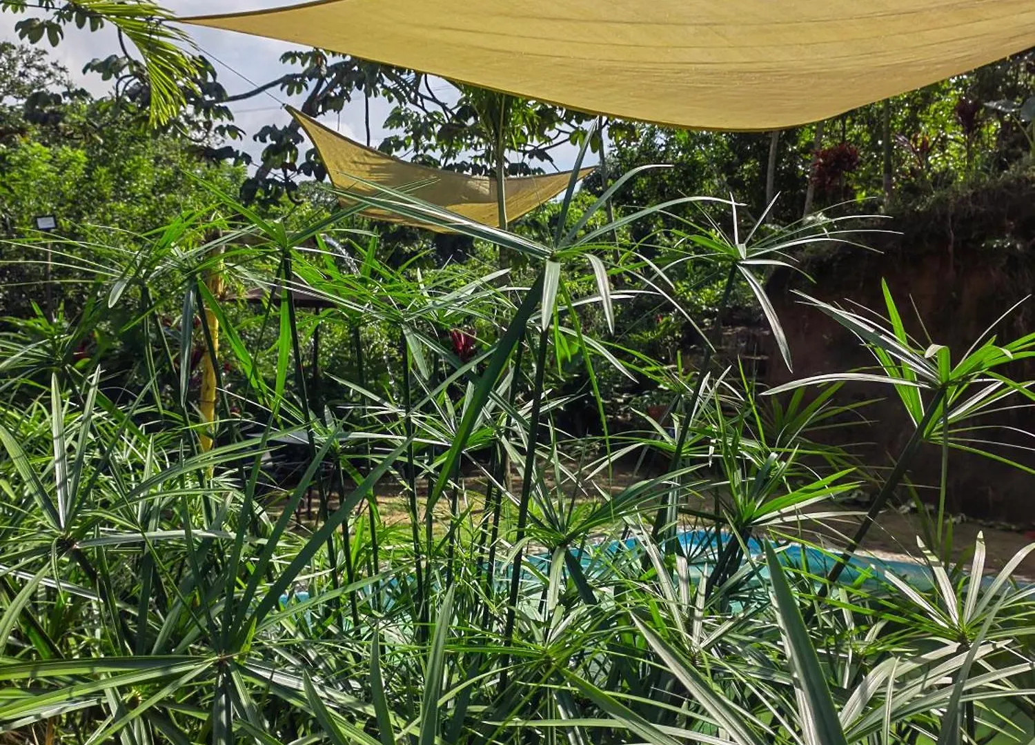圣玛尔塔Treehouse Tayrona别墅 0*, 圣玛尔塔