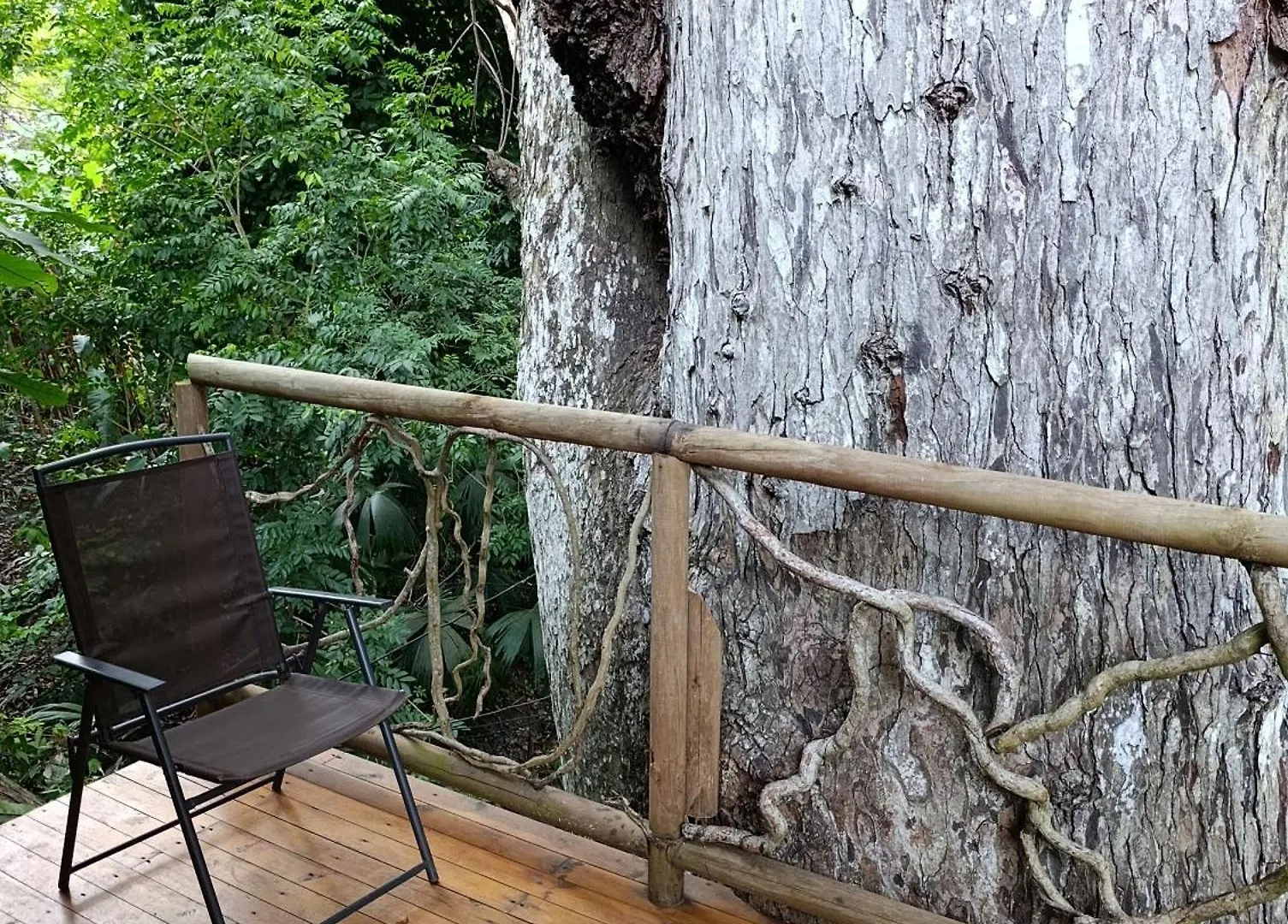 Lodge Treehouse Tayrona Villa Santa Marta